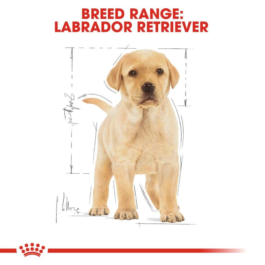 Royal Canin Labrador Retriever Dog Food