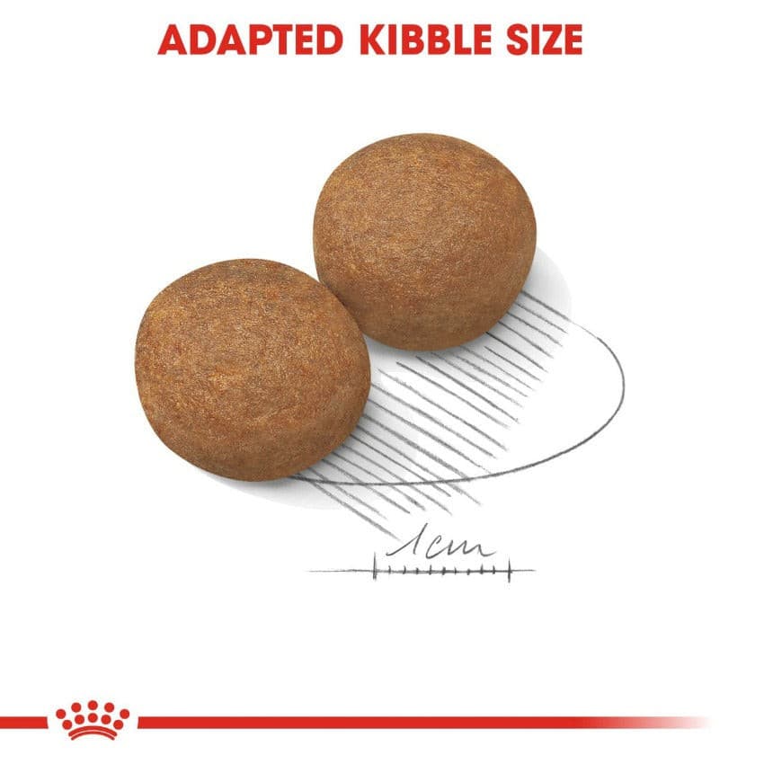 Royal Canin Maxi Adult Kibble Size