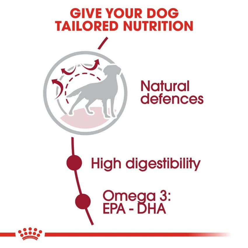 Royal Canin Medium Adult Benefits