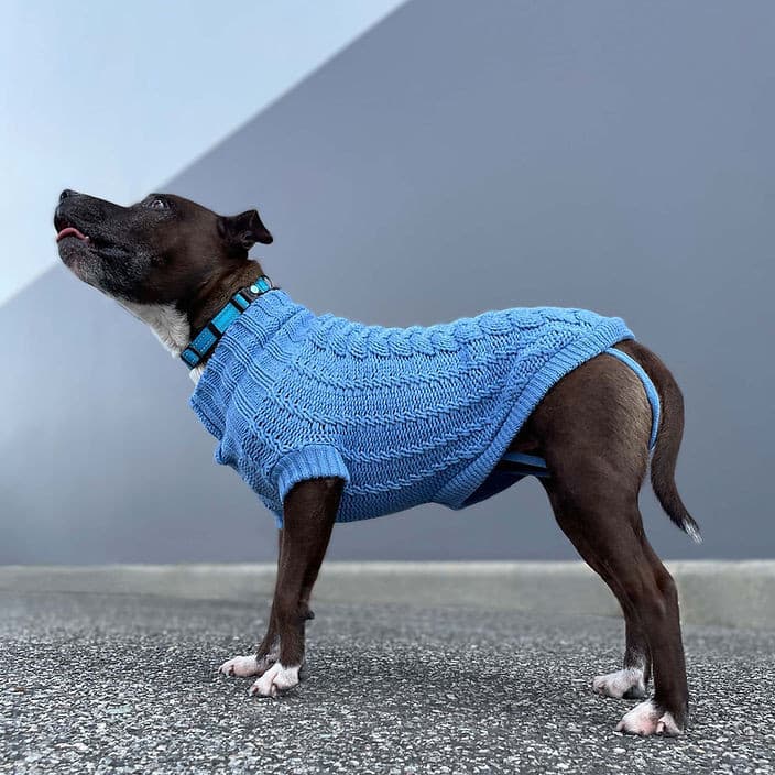 Jumper Huskimo Frenchknit Indigo Blue, dog wearing huskimo jumper indigo blue