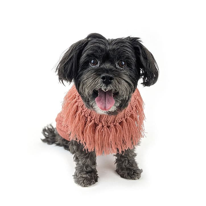 Jumper Huskimo Coachella Salmon dog weraing knitted salmon colour jumper, allpet