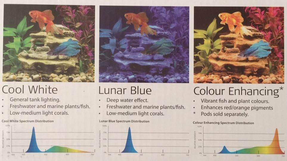 Blue Planet LED Track Lighting Colour Enhancing Pod, Pet Essentials Napier, Pets Warehouse, Pet Essentials Hastings, Pet Essentials New Plymouth, Blue Planet LED colour chart