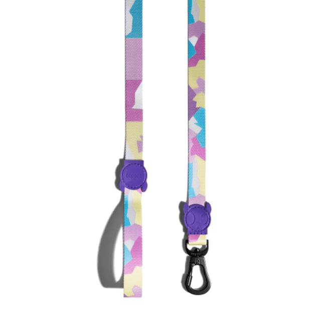 Zee.Dog Lead Candy, Zee Dog Leash, Animates Zee.Dog leads, Pet Essentials Napier, Purple Dog Lead