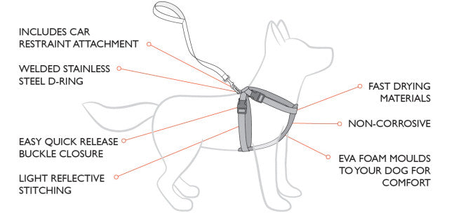 EzyDog Chest Plate Harness fittings on a dog, ezydog chest plate harness features, pet essentials warehouse