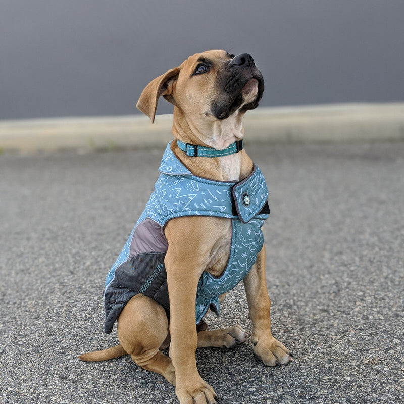 Huskimo shop dog coat