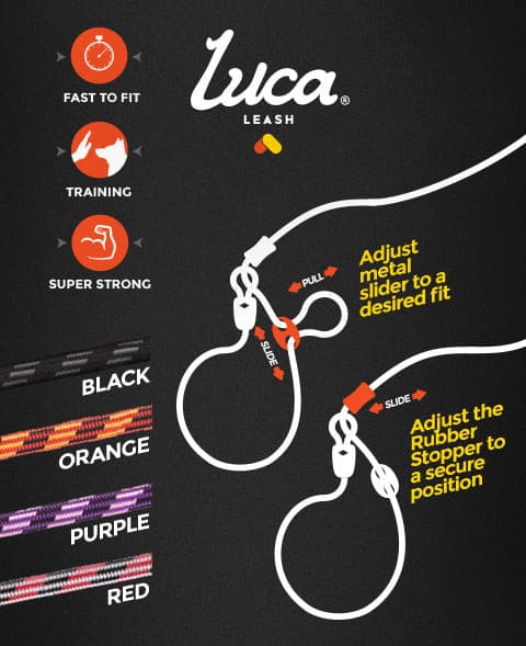 EzyDog Luca Slip Leash Red, Pet Essentials Napier, Luca lead head halti, pet essentials new plymouth, head halti training lead, how to use luca lead ezydog leash