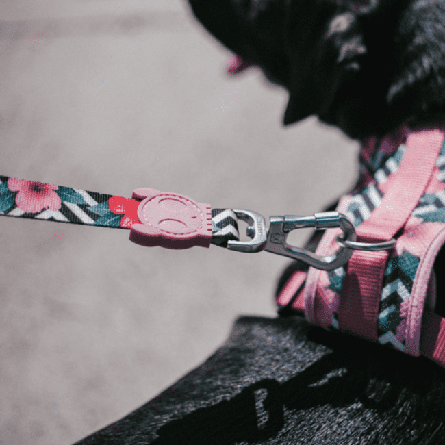 Pink skull candy Zee.Dog lead, Zee.Dog Lead Mahalo