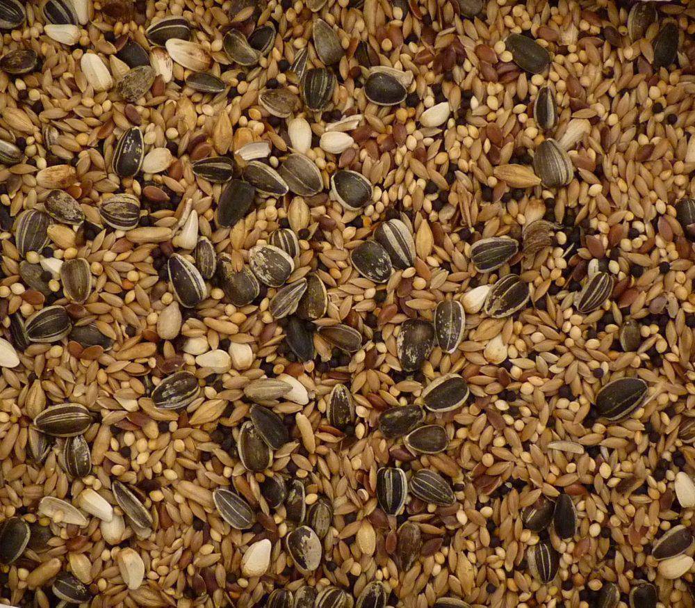 Topflite Cockatiel Mix, topflite sunflower seeds, pet essentials warehouse