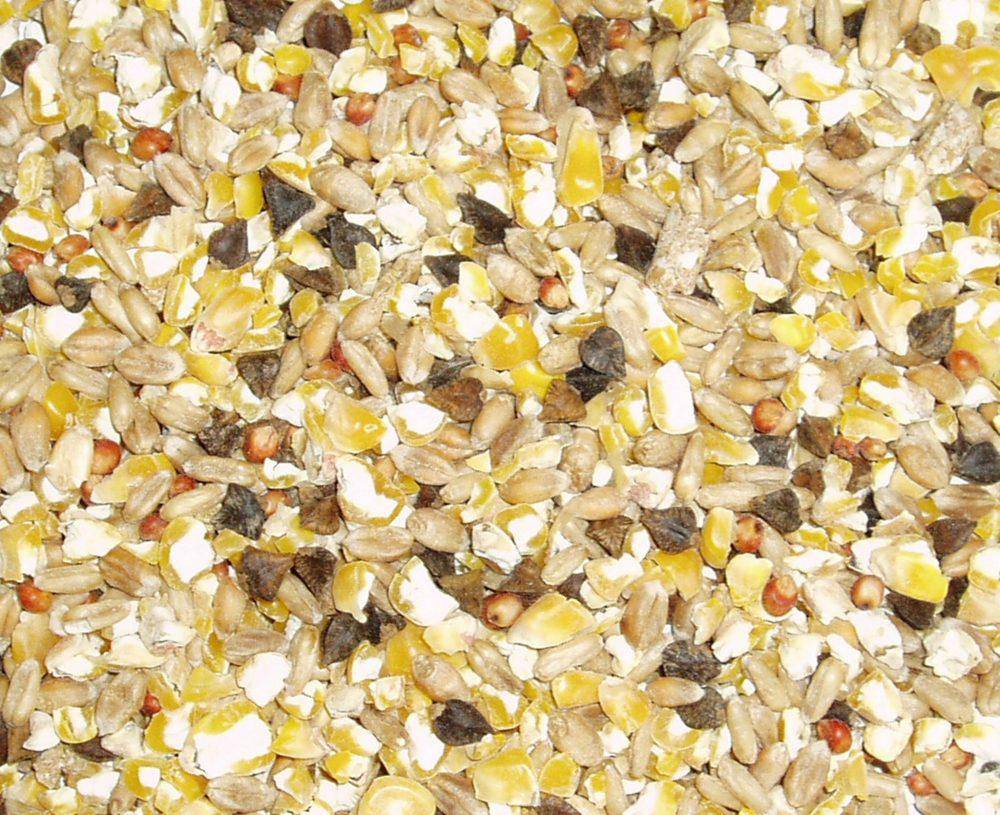 Topflite Dove Mix Seed, Dove Food, Pet Essentials Warehouse,