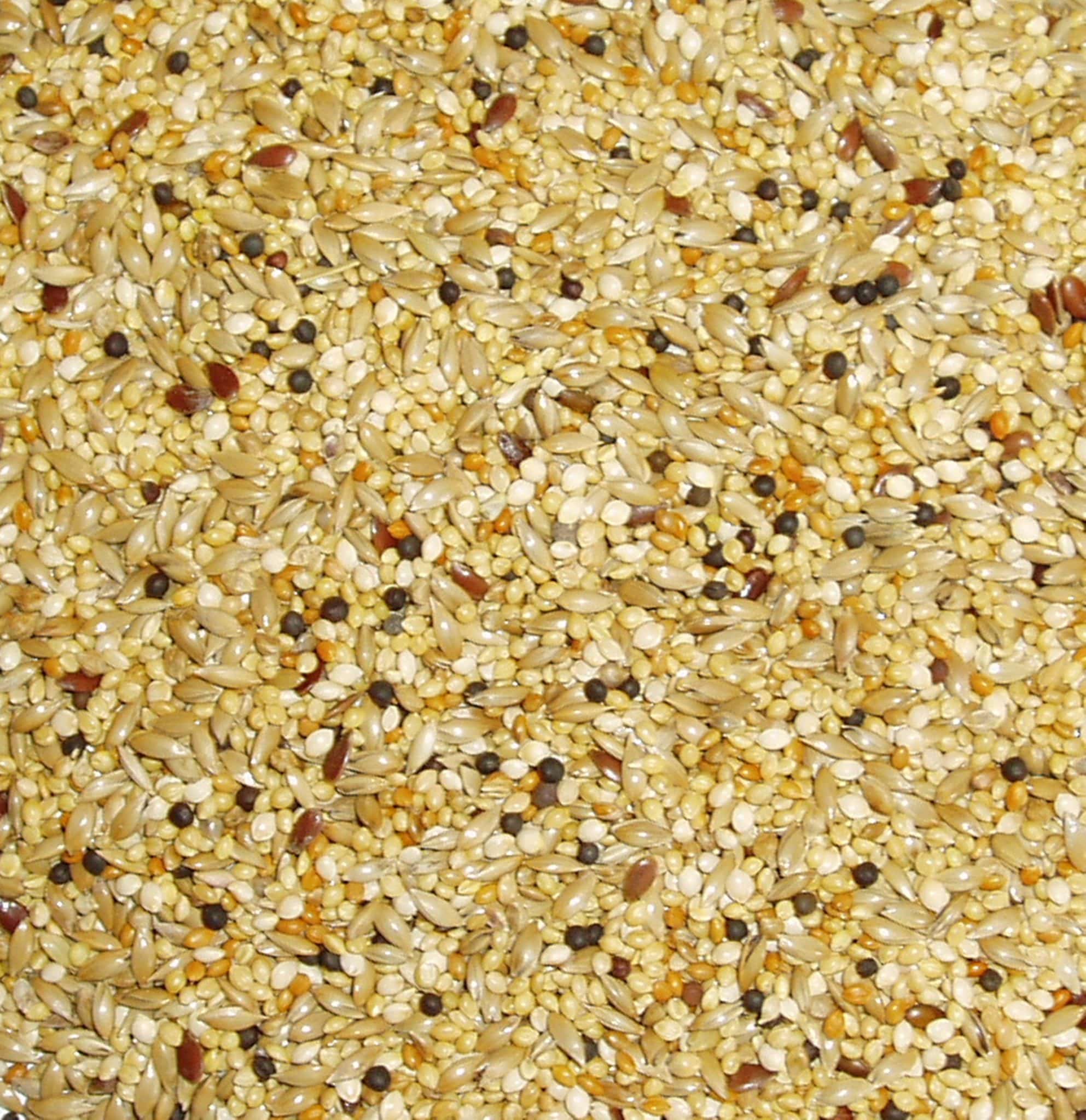 Topflite Finch Seed Mix