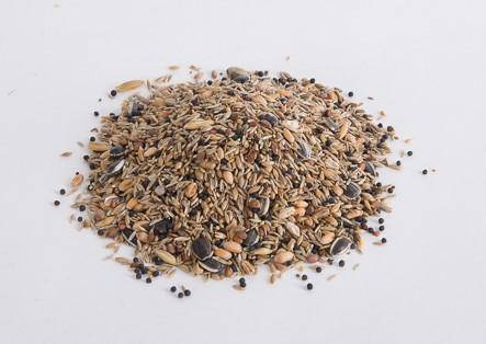 Topflite Wild Bird seeds mixed