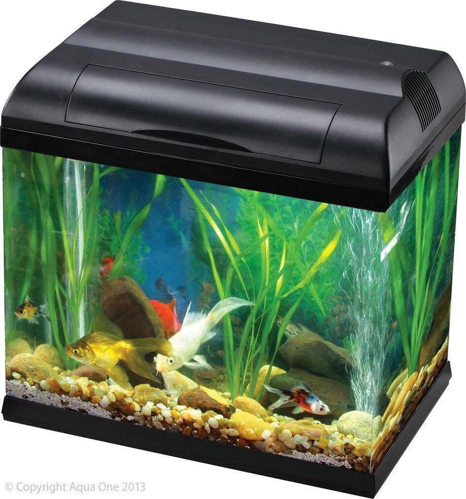 Aqua One Ecostyle 32 Tank Black 14L - Fish - Pet Essentials - Napier