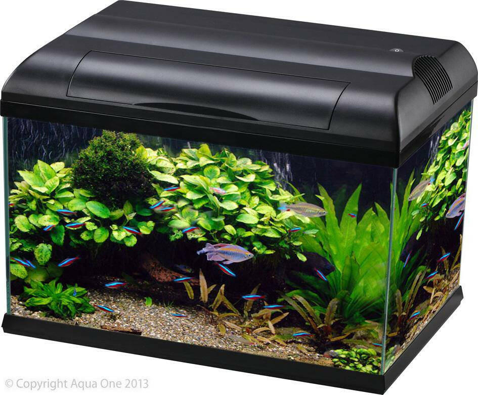 Aqua One Ecostyle 61 Tank 70L Black