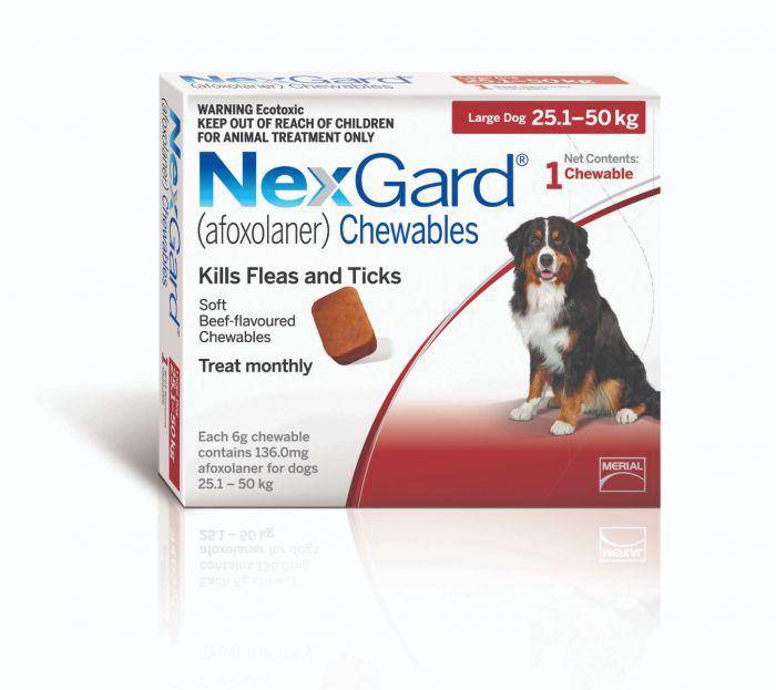 Nexgard Chewable Tablet Flea & Tick Treatment For Dogs, Pet City, Dog Flea and wormer, Tick treatment in dogs, Pet Essential Warehouse