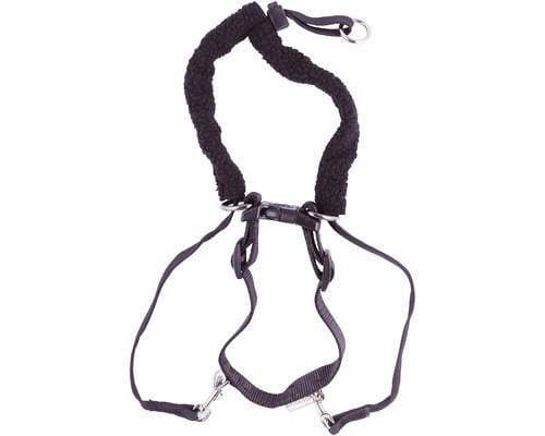 Sporn Halter Dog Harness Black Large